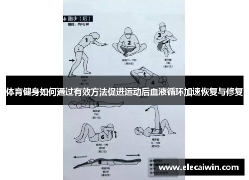 体育健身如何通过有效方法促进运动后血液循环加速恢复与修复