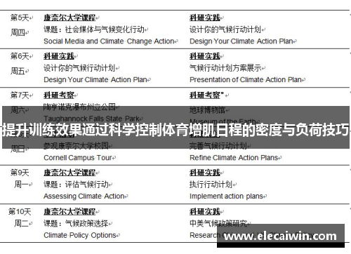 提升训练效果通过科学控制体育增肌日程的密度与负荷技巧
