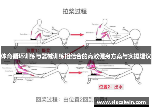 体育循环训练与器械训练相结合的高效健身方案与实操建议